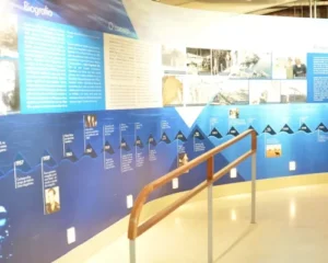 Museu-do-Mar-Aleixo-Belov-4-jpg-qjuod5lg4cl5abatofghq33o9rv3x4nddf67tqhokg